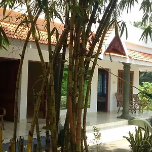 Green Garden Ayurvedic & Green House Resort