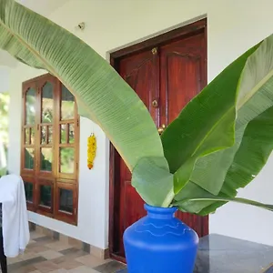 Banana Garden Resort