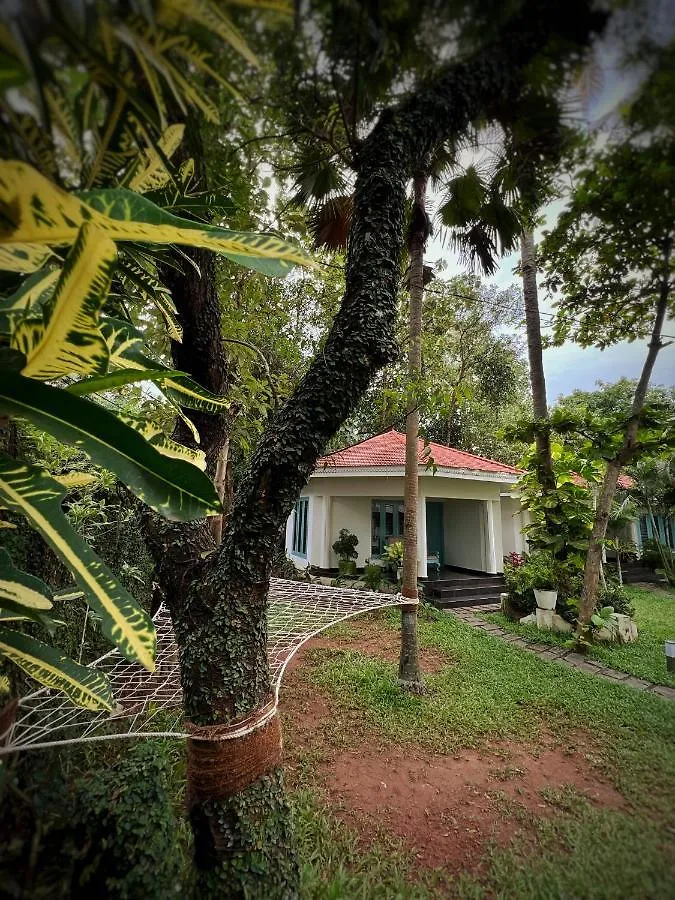 Paddle Cult Hotel Varkala India